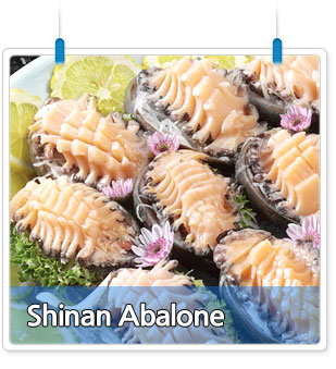 Shinan Abalone