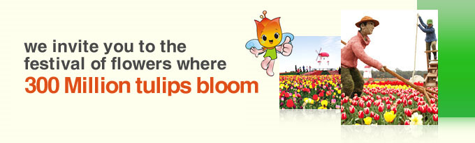 Tulip Festival – we invite you to the festival of flowers where 3 million tulips bloom. 