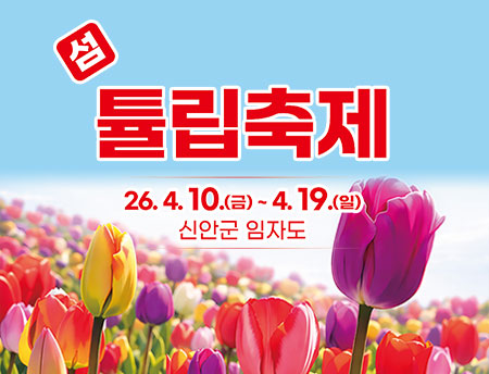 섬튤립축제