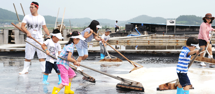태평염전 소금밭 염전체험