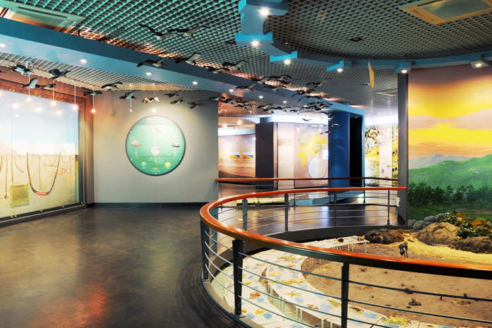 증도갯벌생태전시관 1층 사진2