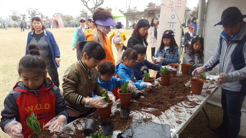 튤립화분 만들기 사진