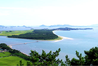 한반도 해송숲과 우전해변