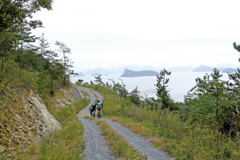 신안의 섬들은 바다와 산, 탁 트인 조망을 함께 누릴 수 있는 해안임도가 특별한 매력 중의 하나다