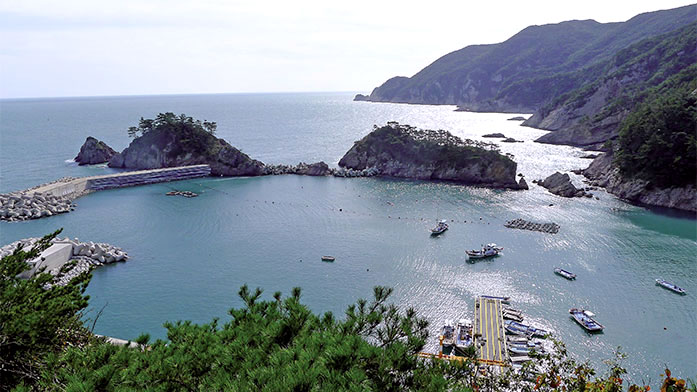 묵령고개에서 바라보는 사리항