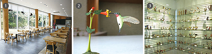 신안철새전시관 1층