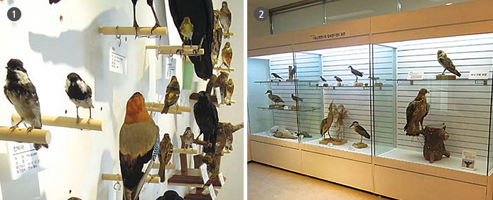 신안철새전시관 2층