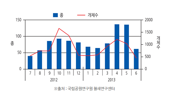 철새개체수연구