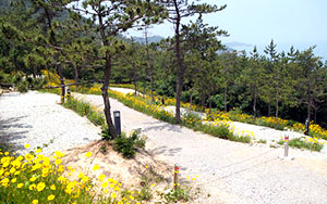 몽돌바다캠핑장