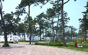 신안 우전 설레미 캠핑장