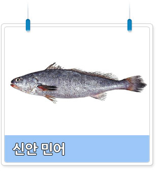 신안민어