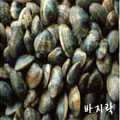 바지락
