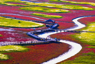 증도 소금밭전망대