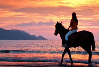 임자도 대광해변과 승마체험