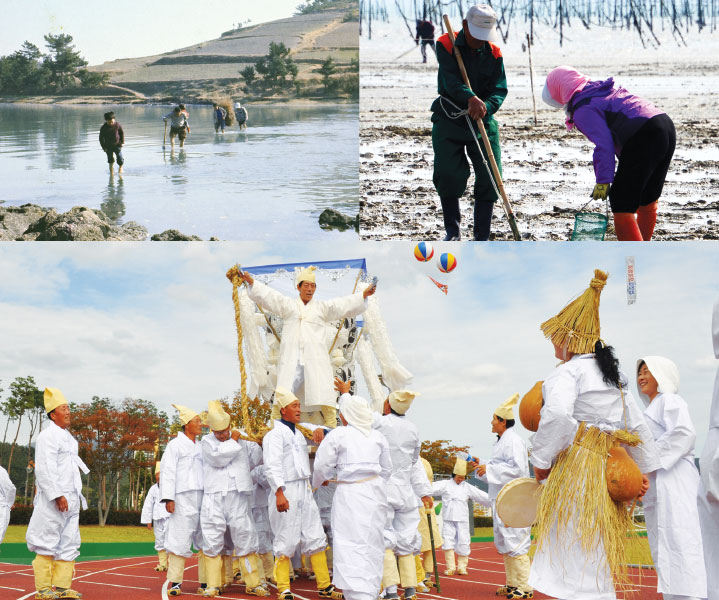 섬과 섬을 건너던 과거 사진, 백합캐는 부부, 비금 밤달애