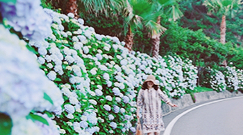 개막식 현장 사진