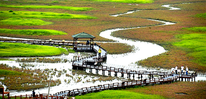 염생식물원탐방로