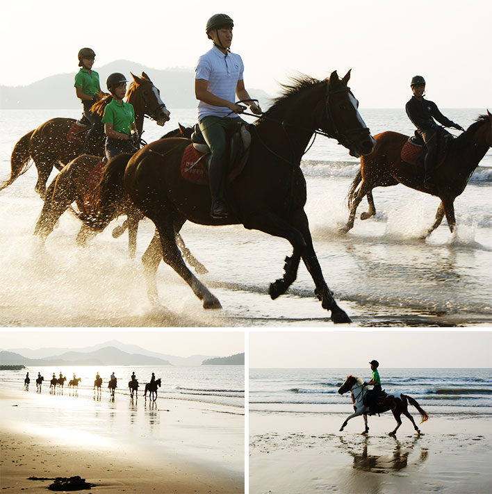 임자해변승마체험