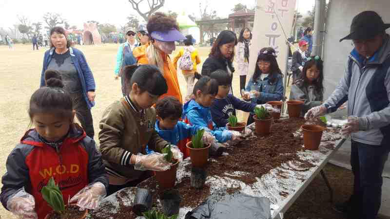 DIY튤립화분 만들기 사진