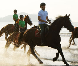 임자도 대광해수욕장