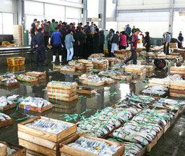 지도 송도수산시장