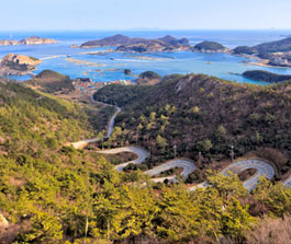 흑산도 일주도로 여행