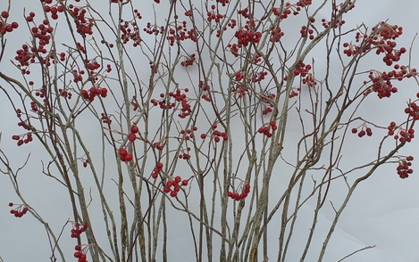 꼭지윤노리 구-136