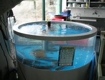 사용자 이미지 23.jpg