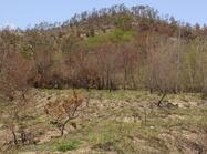 신의 자실리 고분군1 이미지 크게보기