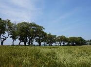 안좌 여흘리 우실1 이미지 크게보기