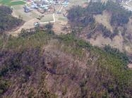 신의 안산성1 이미지 크게보기