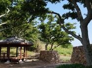 암태 익금우실1 이미지 크게보기