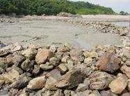 자은 한운 및 둔장 독살1 이미지 크게보기