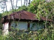 비금 내촌마을 제당1 이미지 크게보기