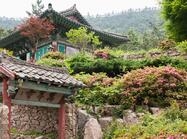 도초 만년사1 이미지 크게보기