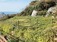 신안 가거도 패총1 이미지 크게보기