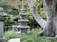 신안 흑산 진리 무심사지 삼층석탑과 석등1 이미지 크게보기