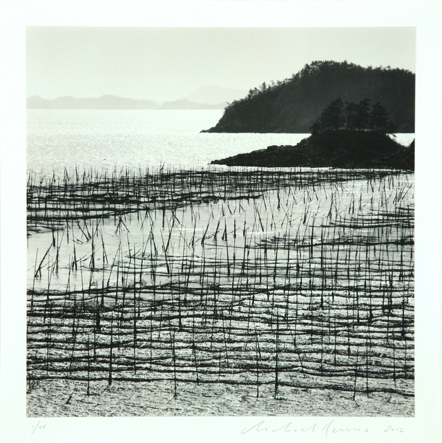 Seaweed Field 신안군 자은도