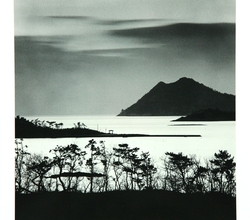 D-12. Distant Gazebo, 신안군 하의도