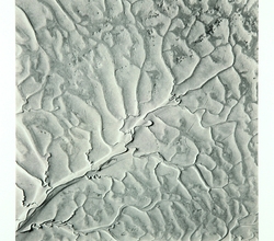 Tidal Patterns 신안군 지도