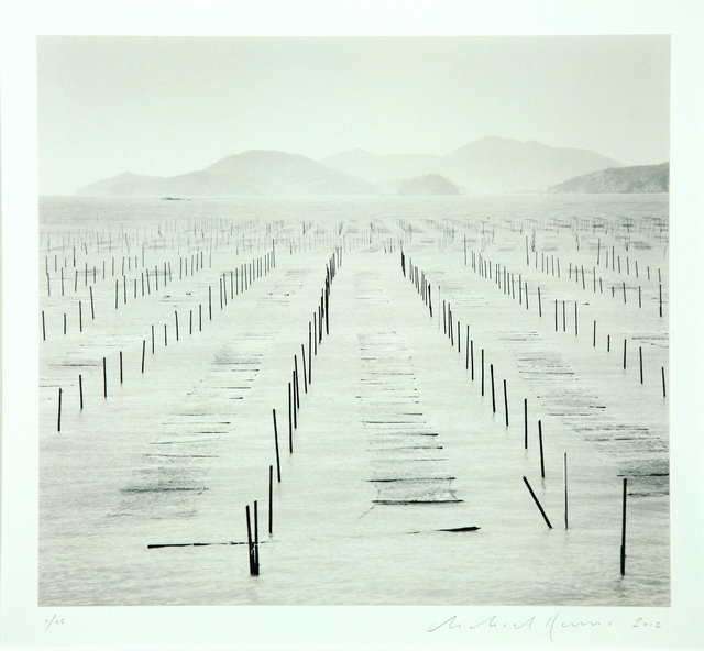 Seaweed Beds 신안군 증도