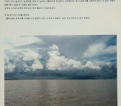 그물에 걸린 갈매기