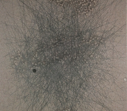 Drawing 080726-1004개의 점 1004개의 섬