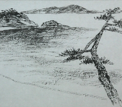 굽은송 선산을 지키다