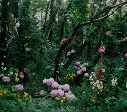 영혼의 섬-도초