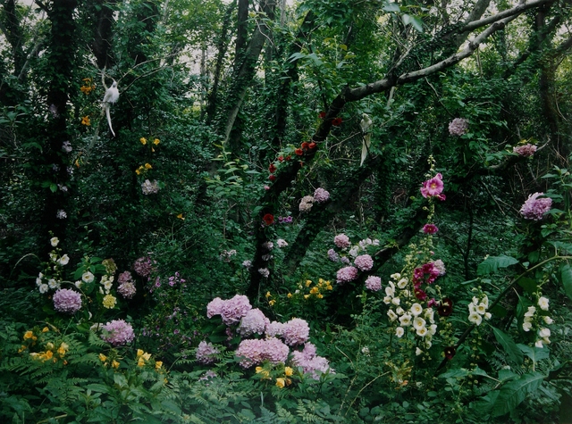 영혼의 섬-도초