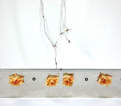 인간과 자연의 간격