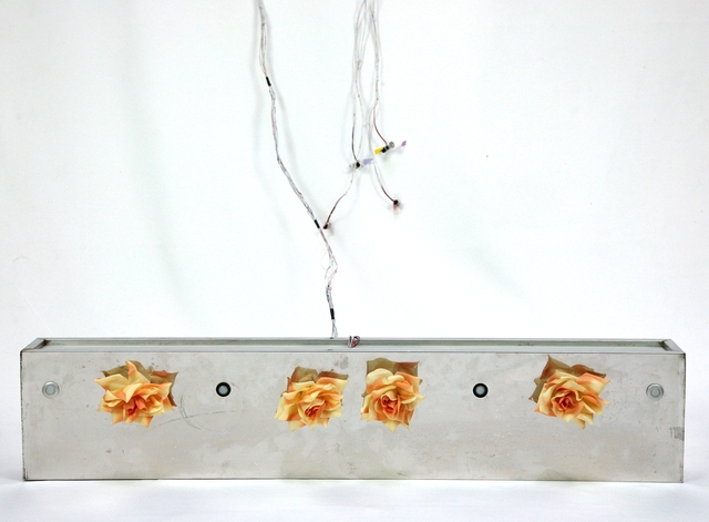 인간과 자연의 간격