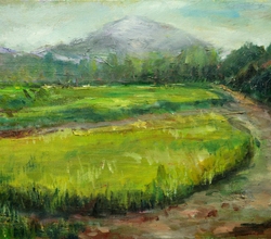 여름으로 가는 길