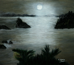 신안 증도의 달밤